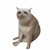 Cash Cat logo